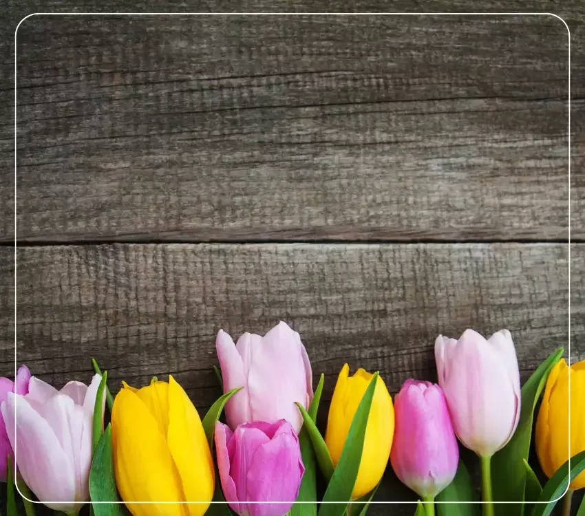 Spring Portfolio Rebalancing: A Greenlight Capital Approach